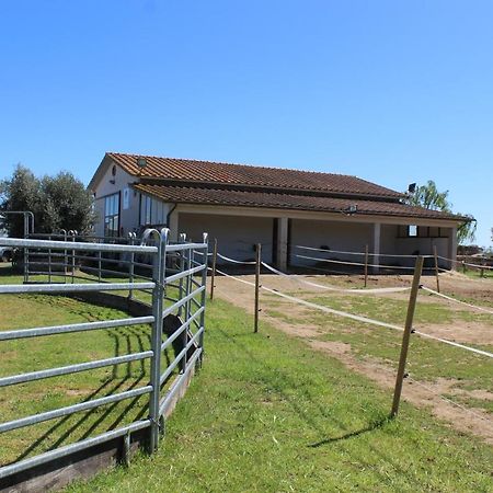 Agriturismo Le Cioccaie Apartment Castiglione della Pescaia Luaran gambar