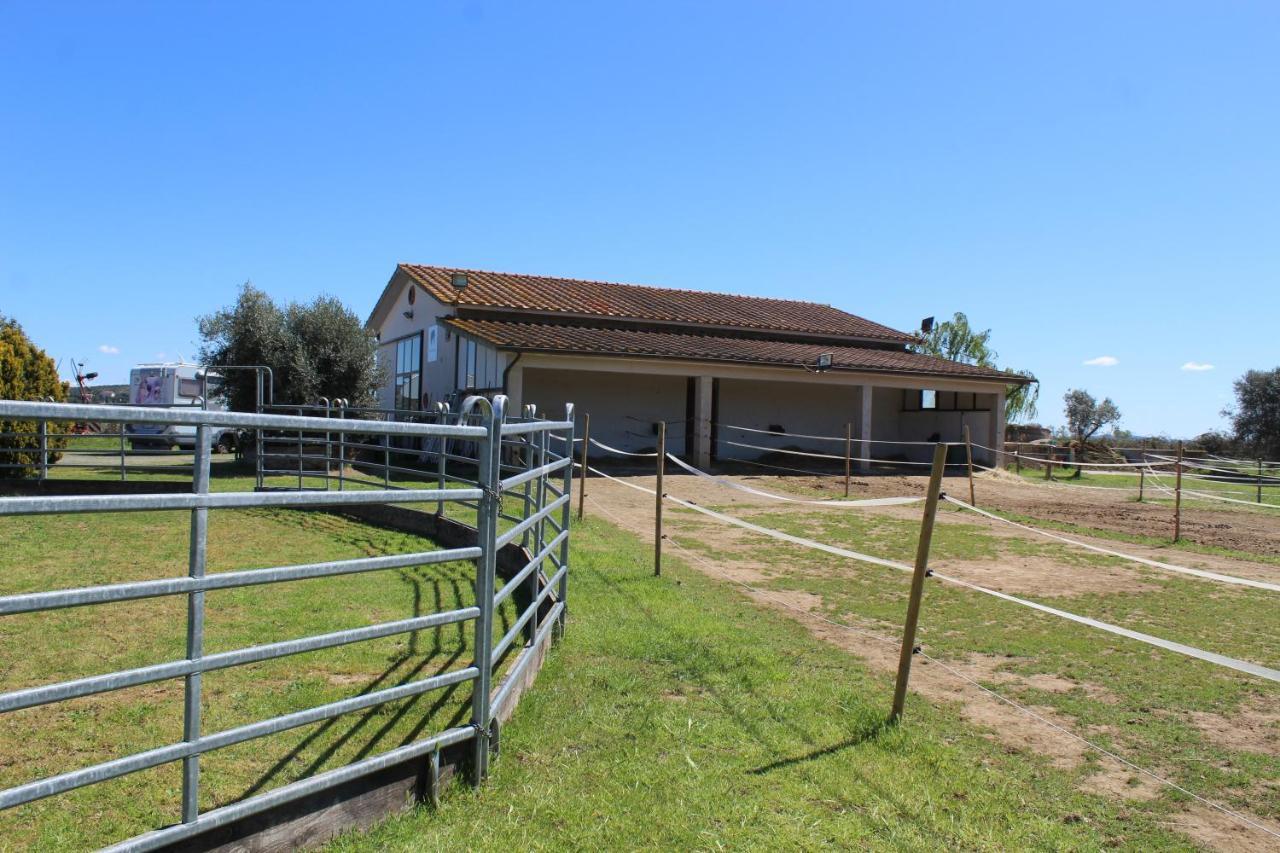 Agriturismo Le Cioccaie Apartment Castiglione della Pescaia Luaran gambar